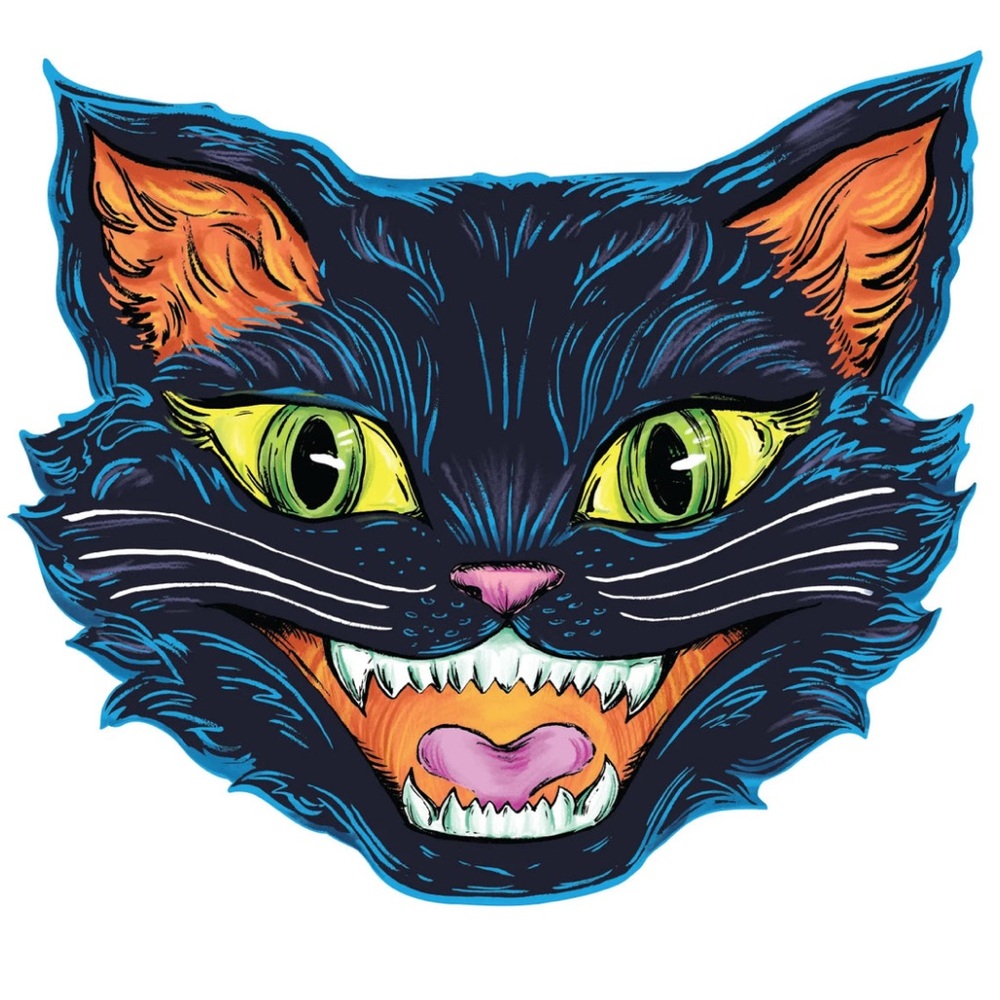 Hester and Cook 12 Placemats Decoration Halloween Black Cat Decor Party New